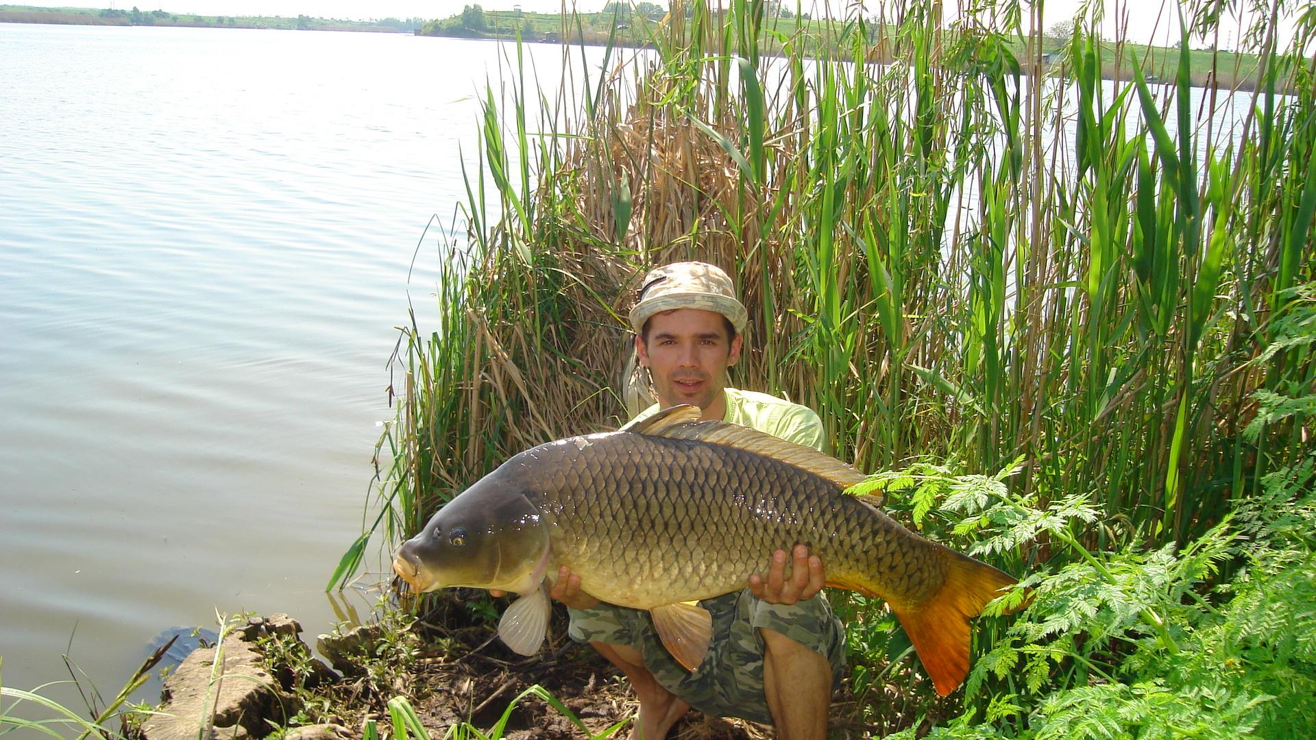 Tâncăbeşti  - dsc03286.JPG